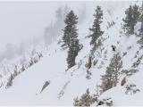 #Freeride Series Partners With #Sony For POV #Snowbird Action